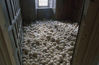 room filled with different sized balls covered in feathers seen through doorwayin 